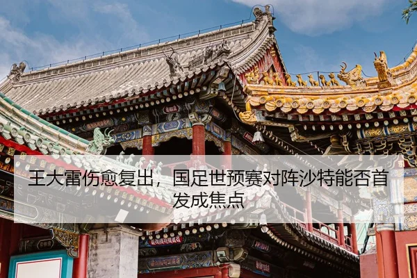 wang-da-lei-shang-yu-fu-chu-guo-zu-shi-yu-sai-dui-zhen-sha-te-neng-fou-shou-fa-cheng-jiao-dian-2-489.jpg